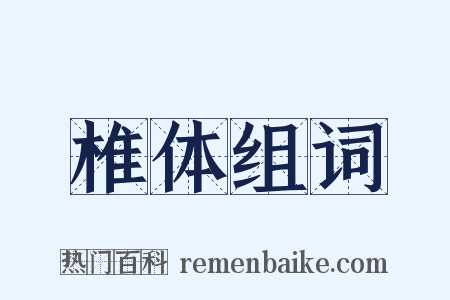 椎体组词是什么意思的图片